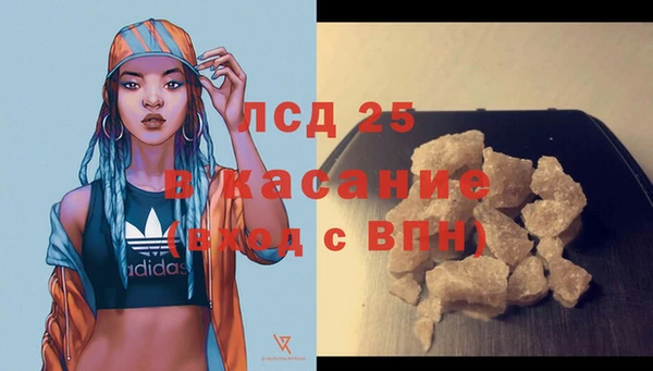 твердый Новокубанск