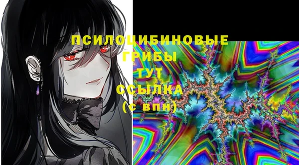 твердый Новокубанск