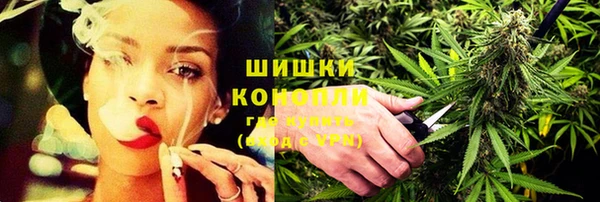 трава Кондопога