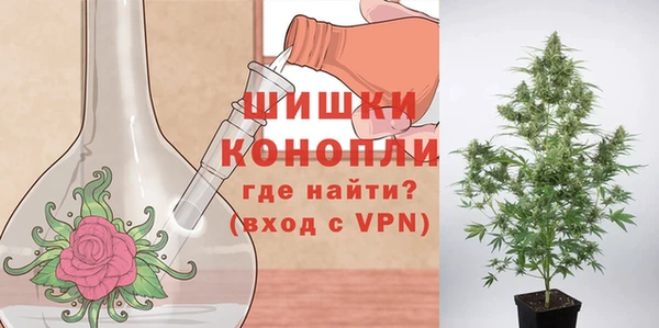 твердый Новокубанск