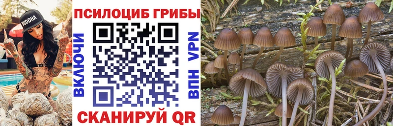 Псилоцибиновые грибы Psilocybine cubensis  что такое   Краснослободск 